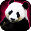 Slots Lucky Panda Casino Slots ícone