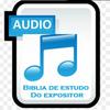 Biblia de Estudo Do Expositor Audio (Portugues) ícone