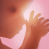 Pregnancy + | tracker app, week by week in 3D ícone