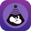 Pregnancy Tracker ícone