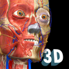 Anatomy Learning – Atlas de anatomia 3D ícone