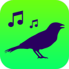 Todos Cantos Pássaros Brasil - Canto de Pássaros ícone