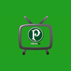 VERDÃO TV - Notícias do Palmeiras ícone